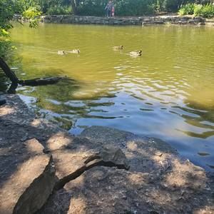 Meet your Posher, Gele